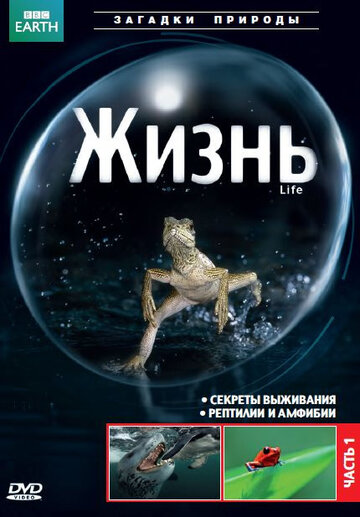 BBC: Жизнь - Растения