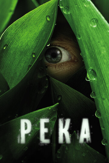 Река - Эксперимент