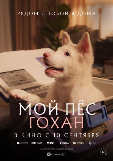 Мой пёс Гохан
